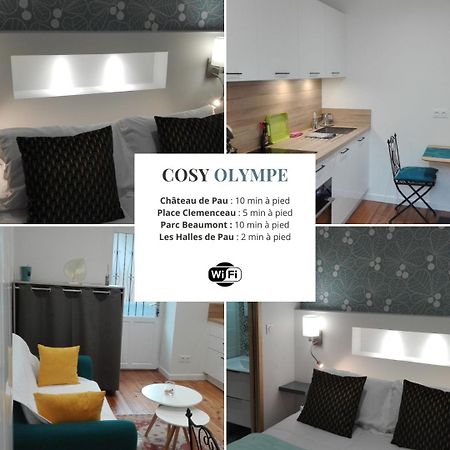 Cosy Olympe - 1Ch - Hyper Centre Quartier Des Halles Pau Buitenkant foto